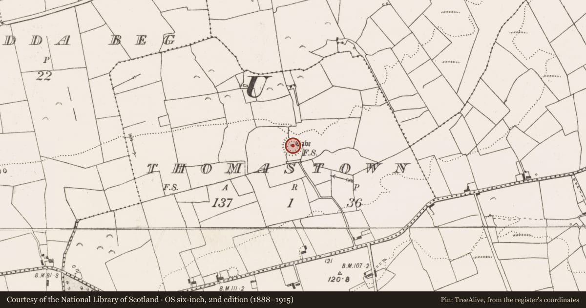 Ordnance Survey six-inch map, 2nd edition (1888–1915) covering the location of Ringfort - rath, Thomastown, County Clare, with a pin at the register's coordinates