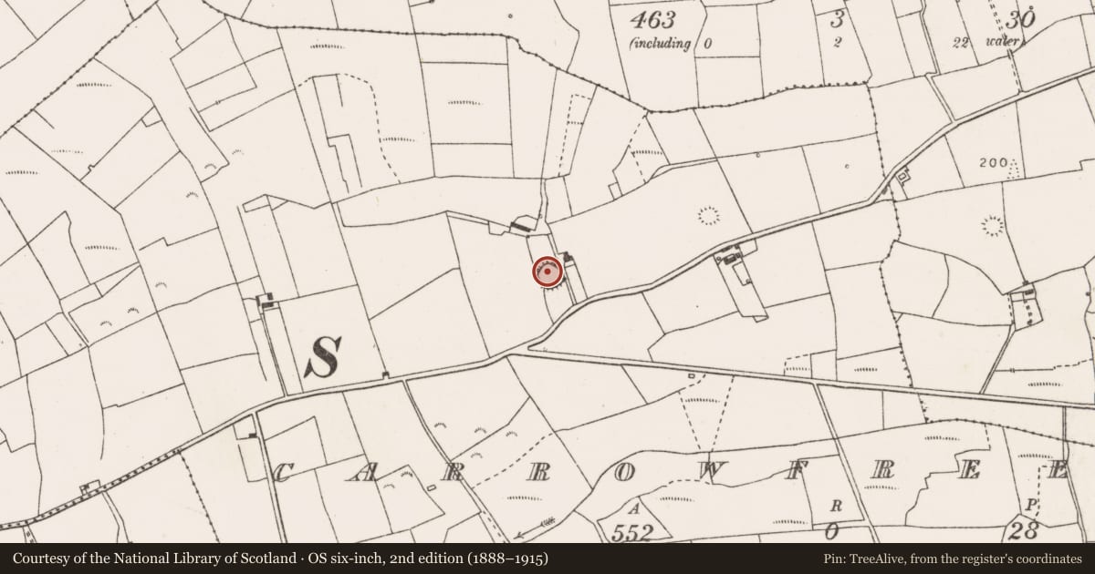 Ordnance Survey six-inch map, 2nd edition (1888–1915) covering the location of Ringfort - rath, Carrowfree, County Clare, with a pin at the register's coordinates
