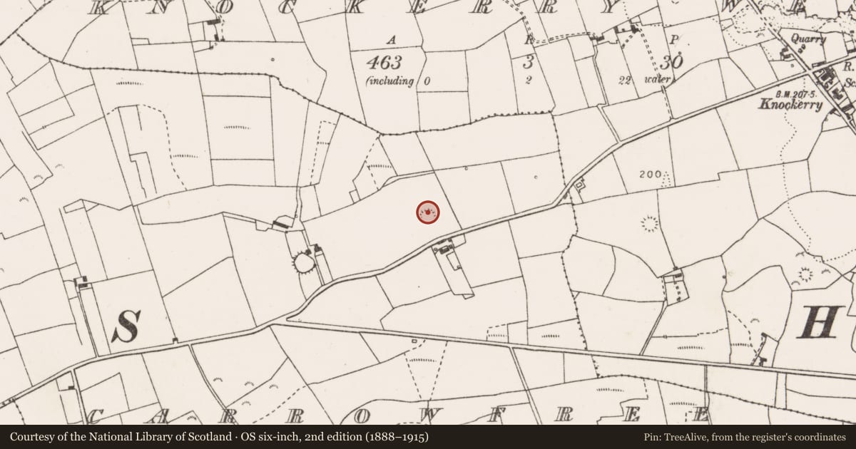 Ordnance Survey six-inch map, 2nd edition (1888–1915) covering the location of Ringfort - rath, Carrowfree, County Clare, with a pin at the register's coordinates