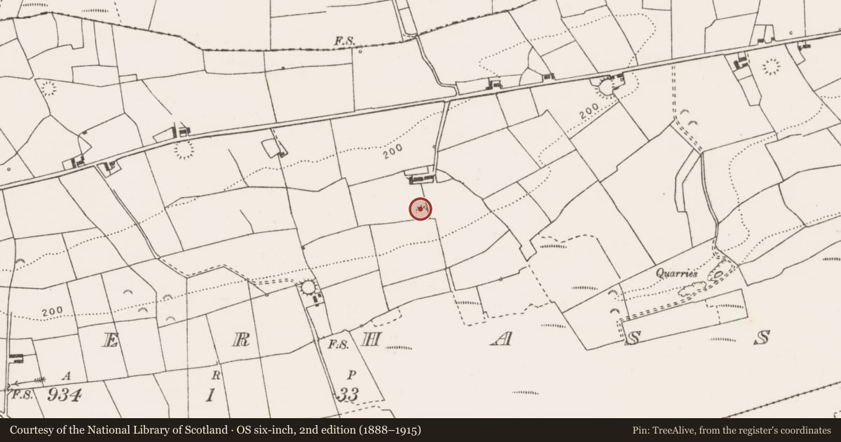 Ordnance Survey six-inch map, 2nd edition (1888–1915) covering the location of Ringfort - rath, Gowerhass, County Clare, with a pin at the register's coordinates