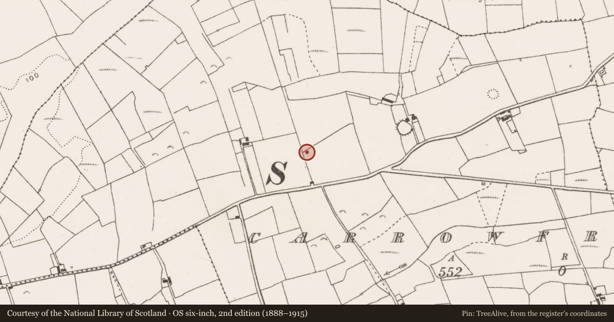 Ordnance Survey six-inch map, 2nd edition (1888–1915) covering the location of Ringfort - rath, Carrowfree, County Clare, with a pin at the register's coordinates