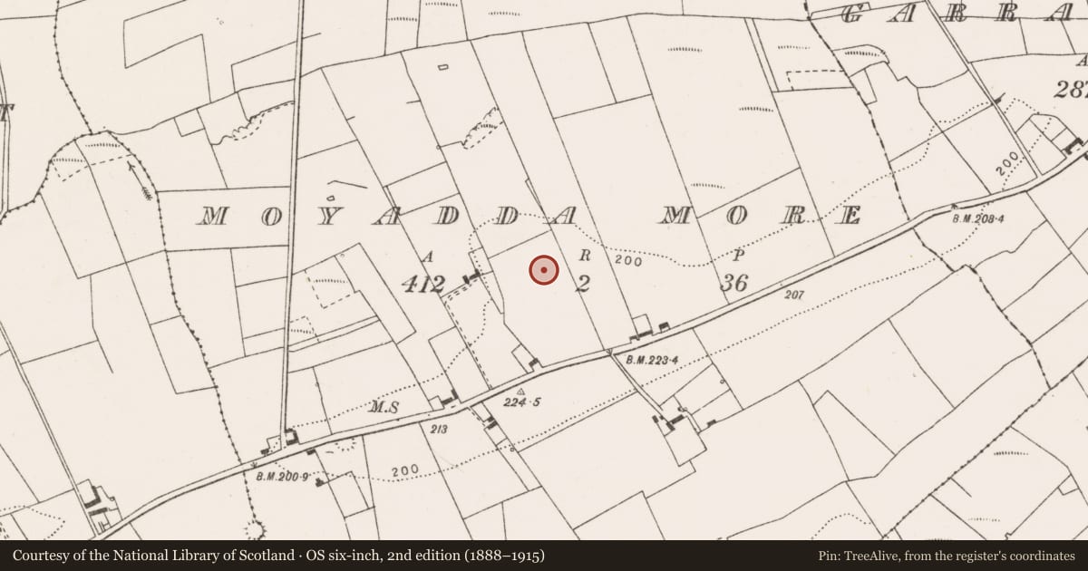 Ordnance Survey six-inch map, 2nd edition (1888–1915) covering the location of Enclosure, Moyadda More, County Clare, with a pin at the register's coordinates