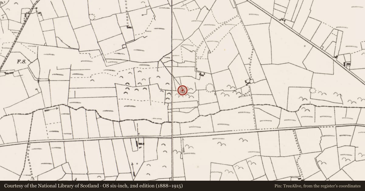 Ordnance Survey six-inch map, 2nd edition (1888–1915) covering the location of Ringfort - rath, Brisla East, County Clare, with a pin at the register's coordinates