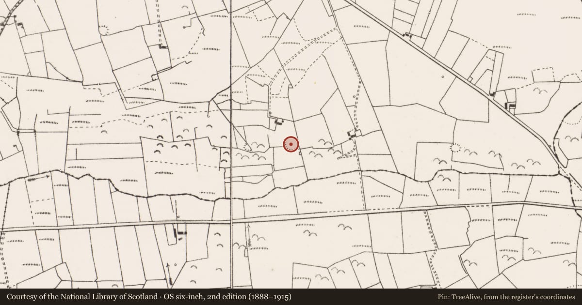 Ordnance Survey six-inch map, 2nd edition (1888–1915) covering the location of Ringfort - rath, Brisla East, County Clare, with a pin at the register's coordinates