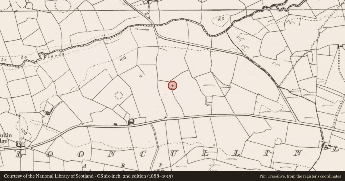 Ordnance Survey six-inch map, 2nd edition (1888–1915) covering the location of Ringfort - rath, Clooncullin, County Clare, with a pin at the register's coordinates