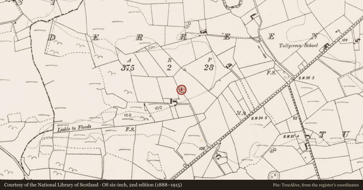 Ordnance Survey six-inch map, 2nd edition (1888–1915) covering the location of Ringfort - rath, Derreen, County Clare, with a pin at the register's coordinates