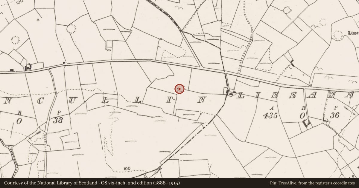 Ordnance Survey six-inch map, 2nd edition (1888–1915) covering the location of Ringfort - rath, Clooncullin, County Clare, with a pin at the register's coordinates