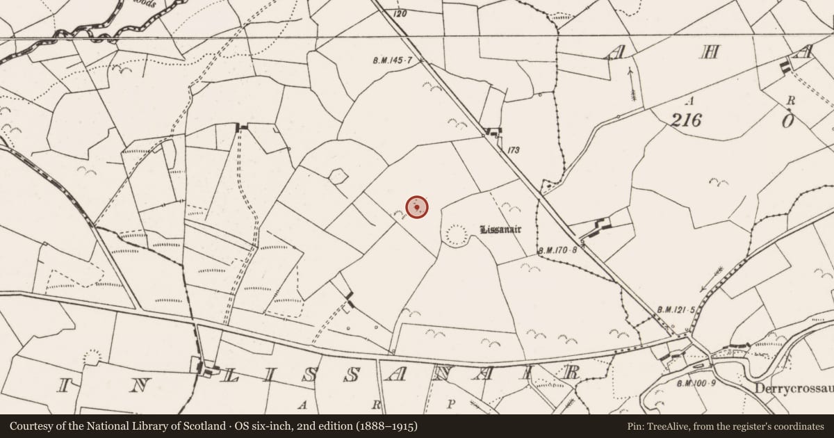 Ordnance Survey six-inch map, 2nd edition (1888–1915) covering the location of Ringfort - rath, Lissanair, County Clare, with a pin at the register's coordinates
