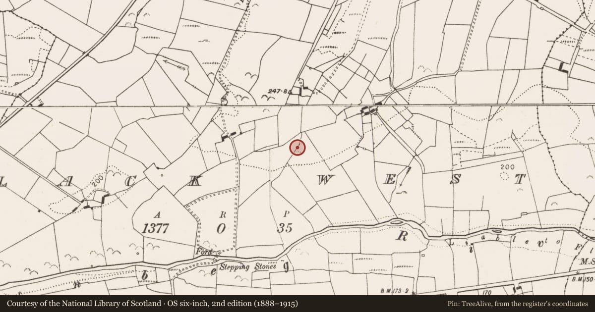 Ordnance Survey six-inch map, 2nd edition (1888–1915) covering the location of Enclosure, Lack West, County Clare, with a pin at the register's coordinates