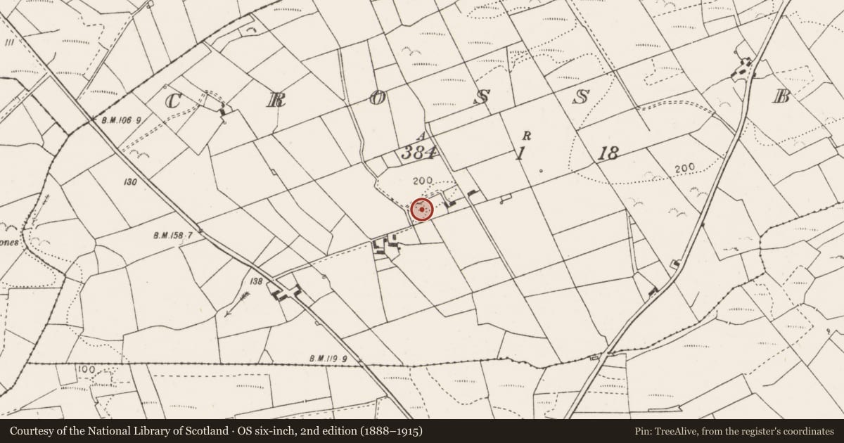 Ordnance Survey six-inch map, 2nd edition (1888–1915) covering the location of Ringfort - rath, Cross Beg, County Clare, with a pin at the register's coordinates