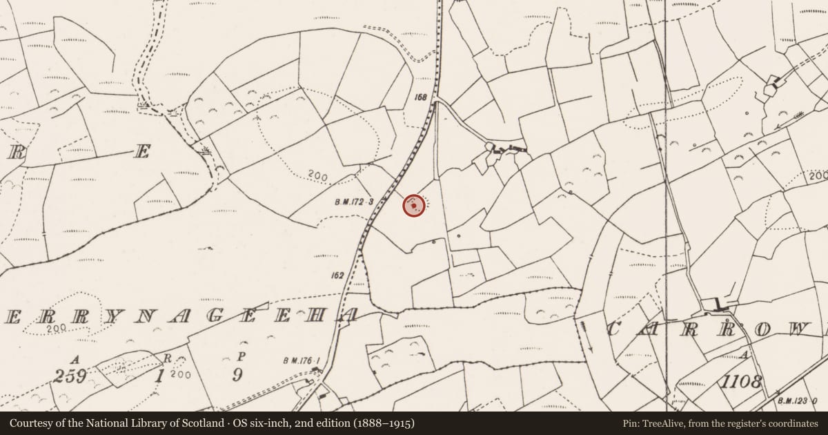 Ordnance Survey six-inch map, 2nd edition (1888–1915) covering the location of Ringfort - rath, Carrowreagh West, County Clare, with a pin at the register's coordinates