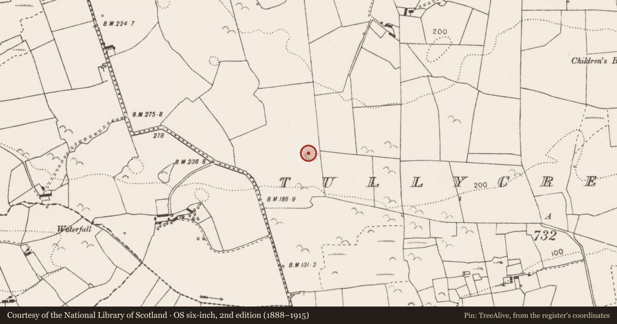 Ordnance Survey six-inch map, 2nd edition (1888–1915) covering the location of Ringfort - rath, Tullycreen Lower, County Clare, with a pin at the register's coordinates