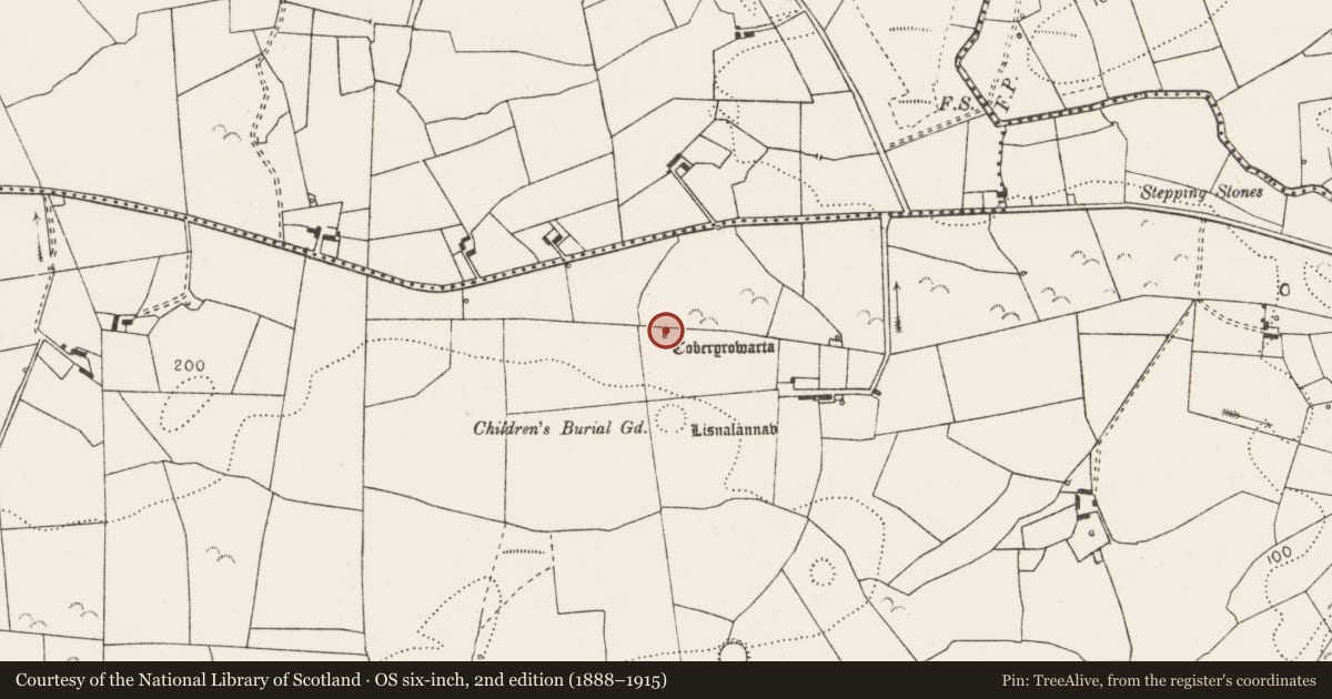 Ordnance Survey six-inch map, 2nd edition (1888–1915) covering the location of Ritual site - holy well, Tullycreen Lower, County Clare, with a pin at the register's coordinates