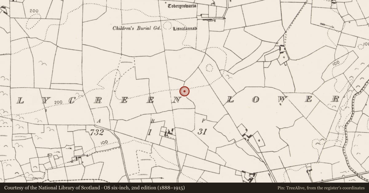 Ordnance Survey six-inch map, 2nd edition (1888–1915) covering the location of Ringfort - rath, Tullycreen Lower, County Clare, with a pin at the register's coordinates