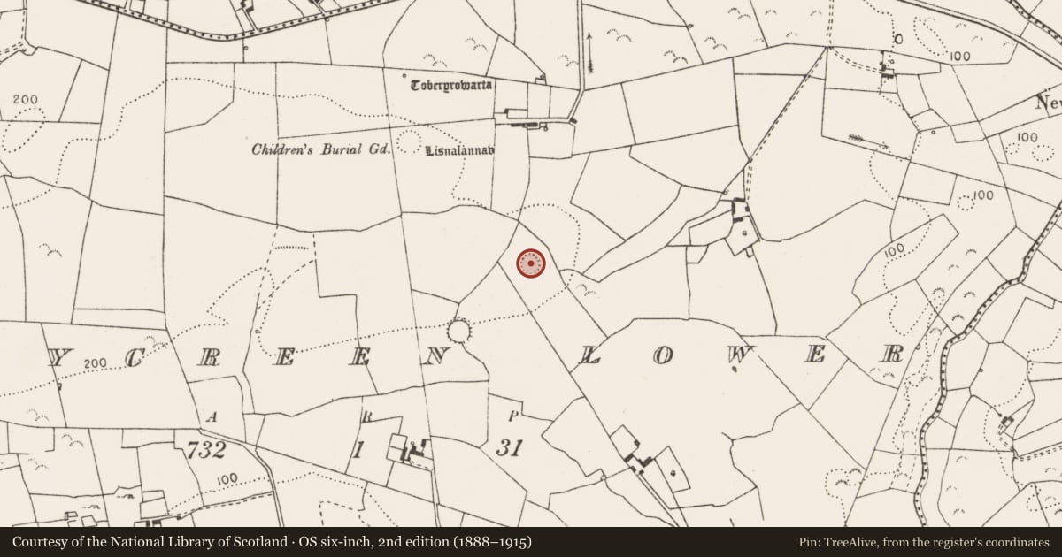Ordnance Survey six-inch map, 2nd edition (1888–1915) covering the location of Ringfort - rath, Tullycreen Lower, County Clare, with a pin at the register's coordinates