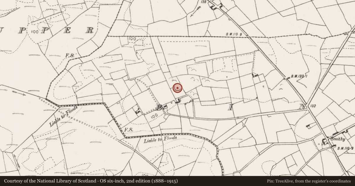 Ordnance Survey six-inch map, 2nd edition (1888–1915) covering the location of Ringfort - rath, Binvoran, County Clare, with a pin at the register's coordinates