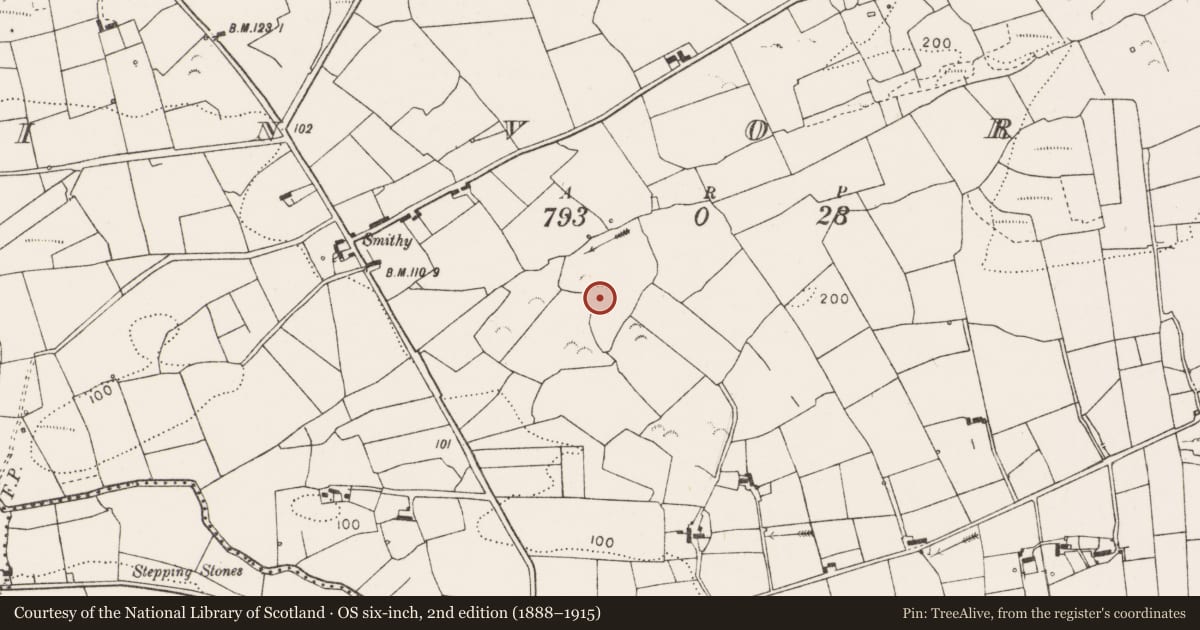 Ordnance Survey six-inch map, 2nd edition (1888–1915) covering the location of Ringfort - rath, Binvoran, County Clare, with a pin at the register's coordinates