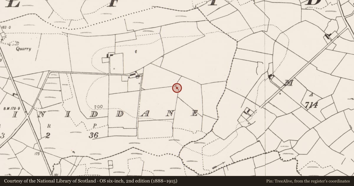 Ordnance Survey six-inch map, 2nd edition (1888–1915) covering the location of Ringfort - rath, Derriniddane, County Clare, with a pin at the register's coordinates