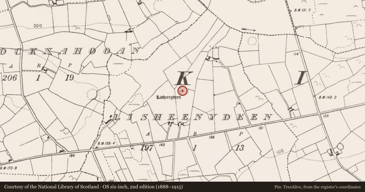 Ordnance Survey six-inch map, 2nd edition (1888–1915) covering the location of Ringfort - rath, Lisheenydeen, County Clare, with a pin at the register's coordinates
