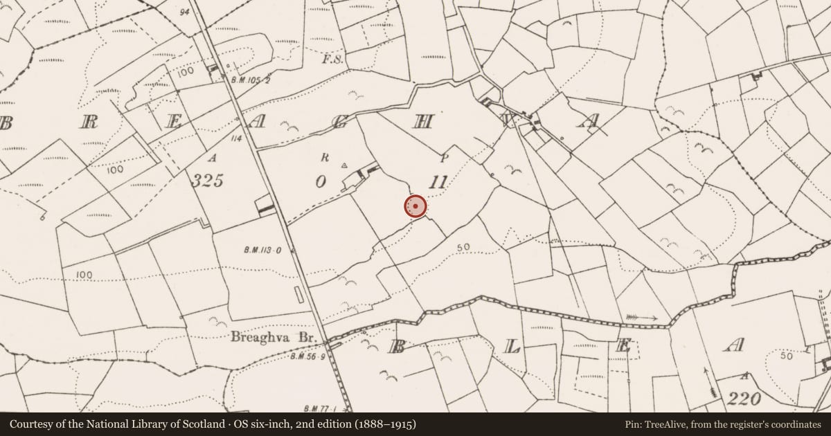 Ordnance Survey six-inch map, 2nd edition (1888–1915) covering the location of Ringfort - rath, Breaghva, County Clare, with a pin at the register's coordinates
