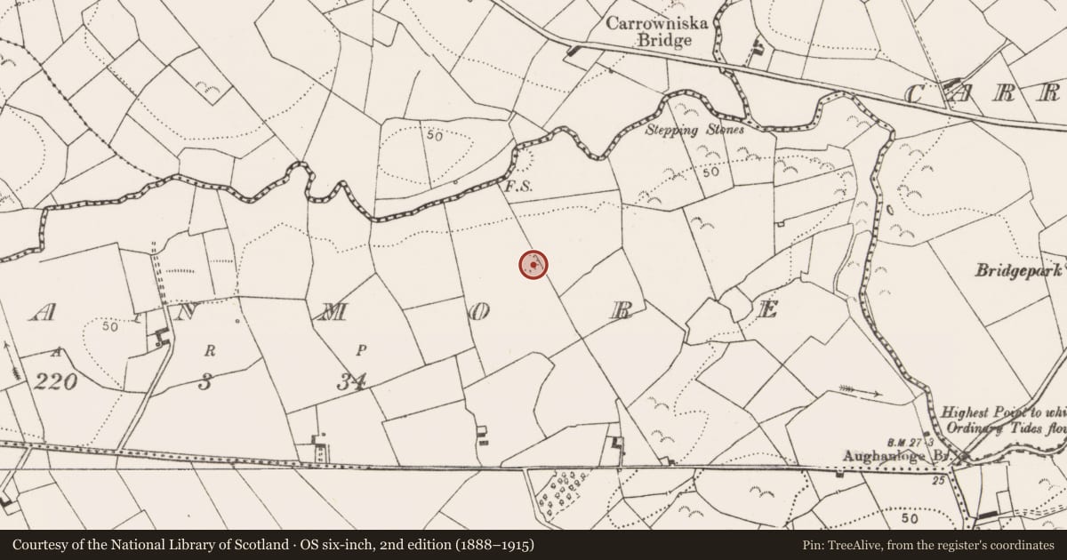 Ordnance Survey six-inch map, 2nd edition (1888–1915) covering the location of Ringfort - rath, Bleanmore, County Clare, with a pin at the register's coordinates