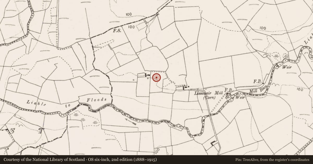 Ordnance Survey six-inch map, 2nd edition (1888–1915) covering the location of Barrow - ring-barrow, Lissanair, County Clare, with a pin at the register's coordinates