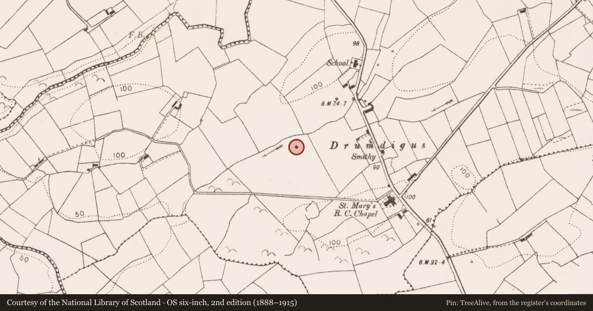 Ordnance Survey six-inch map, 2nd edition (1888–1915) covering the location of Ringfort - rath, Drumdigus, County Clare, with a pin at the register's coordinates