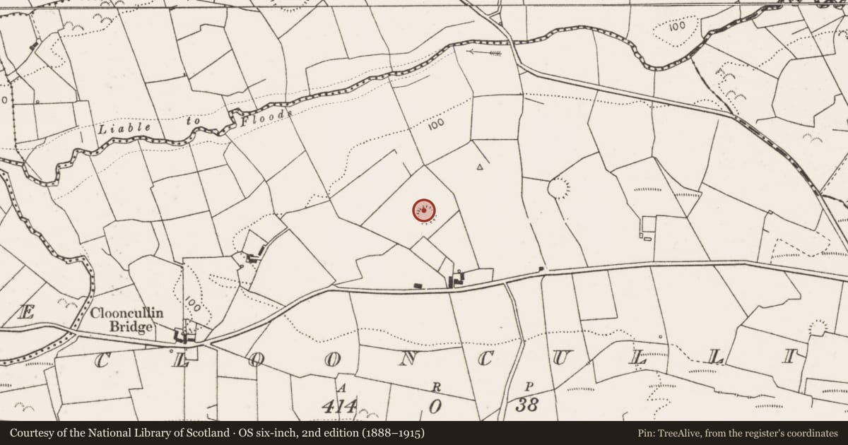 Ordnance Survey six-inch map, 2nd edition (1888–1915) covering the location of Hut site, Clooncullin, County Clare, with a pin at the register's coordinates