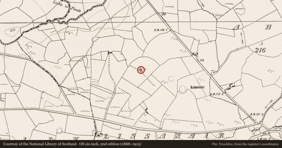 Ordnance Survey six-inch map, 2nd edition (1888–1915) covering the location of Ringfort - rath, Lissanair, County Clare, with a pin at the register's coordinates