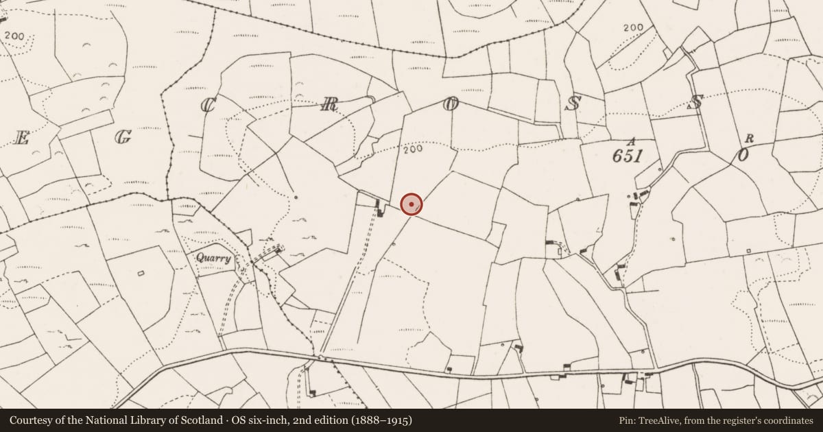 Ordnance Survey six-inch map, 2nd edition (1888–1915) covering the location of Children's burial ground, Cross More, County Clare, with a pin at the register's coordinates