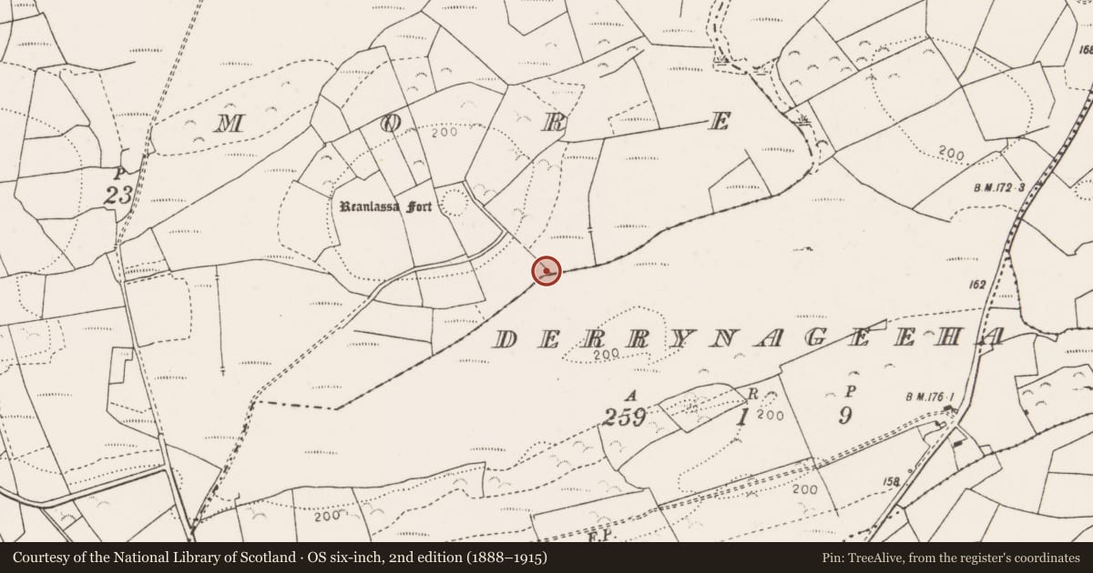 Ordnance Survey six-inch map, 2nd edition (1888–1915) covering the location of Fulacht fia, Cross More, County Clare, with a pin at the register's coordinates