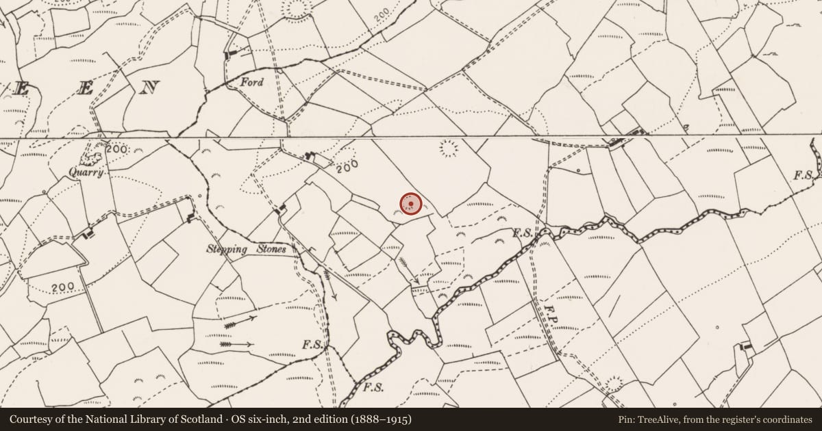 Ordnance Survey six-inch map, 2nd edition (1888–1915) covering the location of Ringfort - rath, Bolooghra, County Clare, with a pin at the register's coordinates