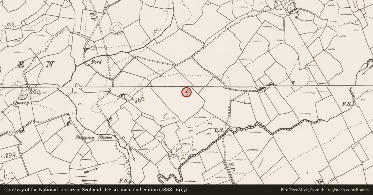Ordnance Survey six-inch map, 2nd edition (1888–1915) covering the location of Ringfort - rath, Bolooghra, County Clare, with a pin at the register's coordinates