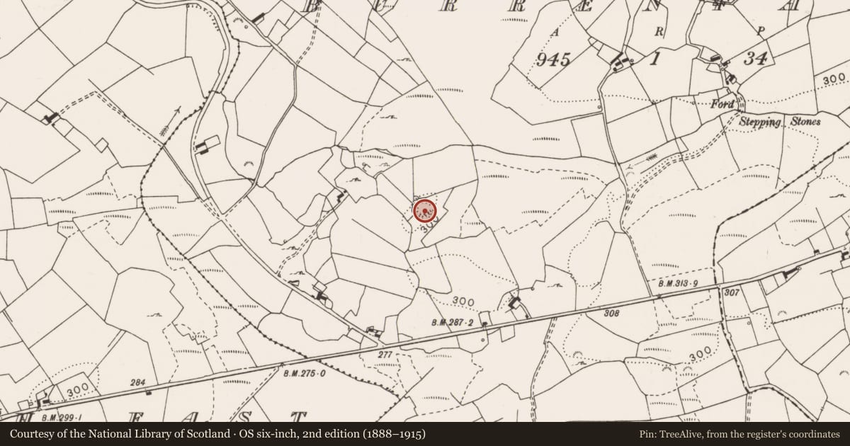 Ordnance Survey six-inch map, 2nd edition (1888–1915) covering the location of Ringfort - rath, Burrenfadda, County Clare, with a pin at the register's coordinates