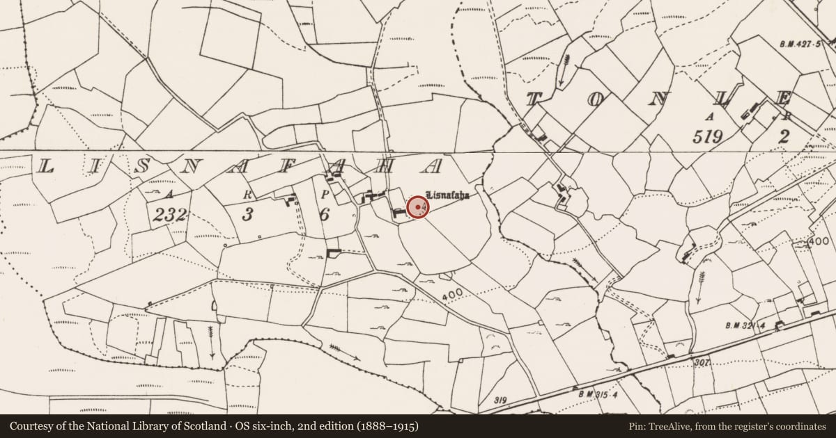 Ordnance Survey six-inch map, 2nd edition (1888–1915) covering the location of Ringfort - rath, Lisnafaha, County Clare, with a pin at the register's coordinates