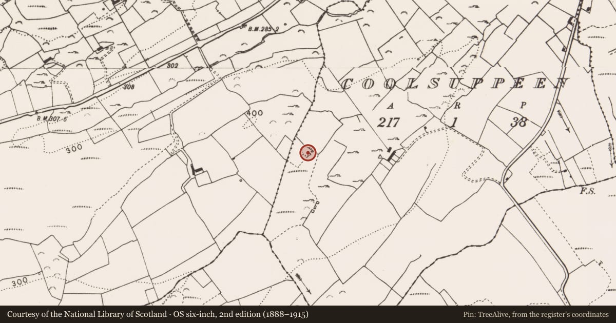 Ordnance Survey six-inch map, 2nd edition (1888–1915) covering the location of Enclosure, Coolsuppeen, County Clare, with a pin at the register's coordinates