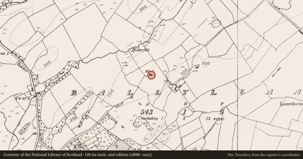Ordnance Survey six-inch map, 2nd edition (1888–1915) covering the location of Ringfort - rath, Ballyleaan, County Clare, with a pin at the register's coordinates