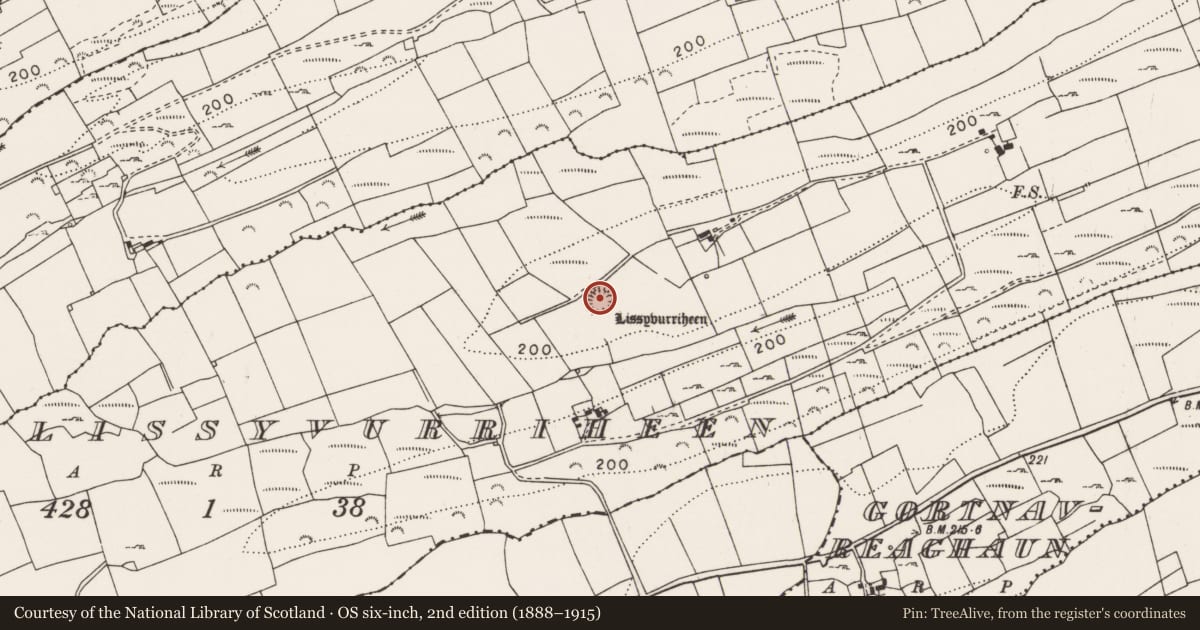 Ordnance Survey six-inch map, 2nd edition (1888–1915) covering the location of Ringfort - rath, Lissyvurriheen, County Clare, with a pin at the register's coordinates