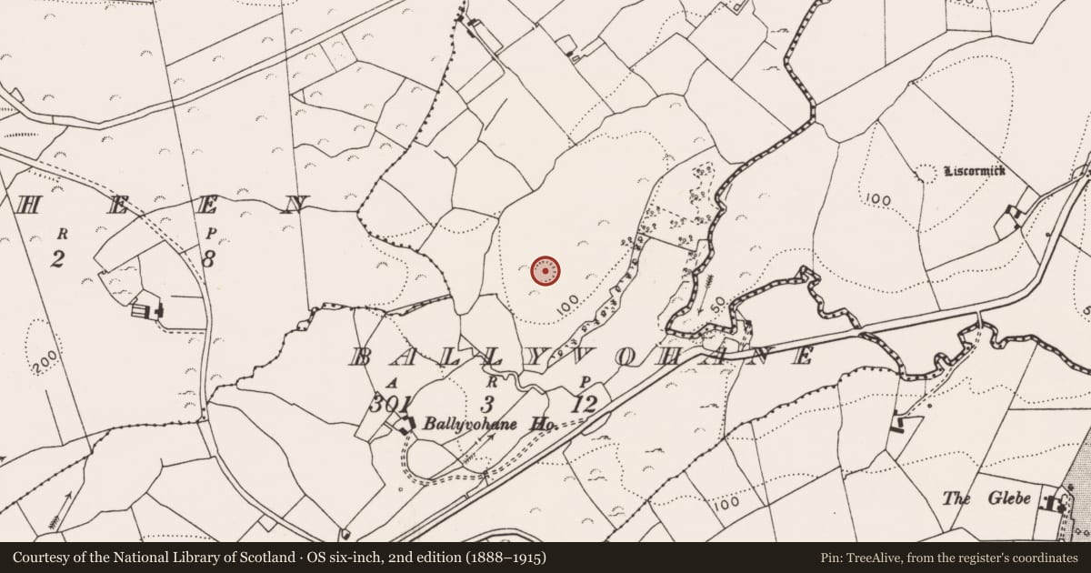Ordnance Survey six-inch map, 2nd edition (1888–1915) covering the location of Ringfort - rath, Ballyvohane, County Clare, with a pin at the register's coordinates