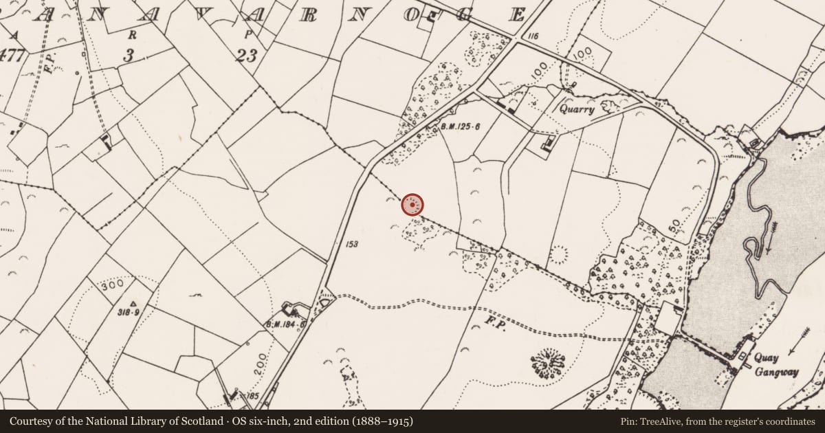 Ordnance Survey six-inch map, 2nd edition (1888–1915) covering the location of Ringfort - rath, Cappanavarnoge, County Clare, with a pin at the register's coordinates