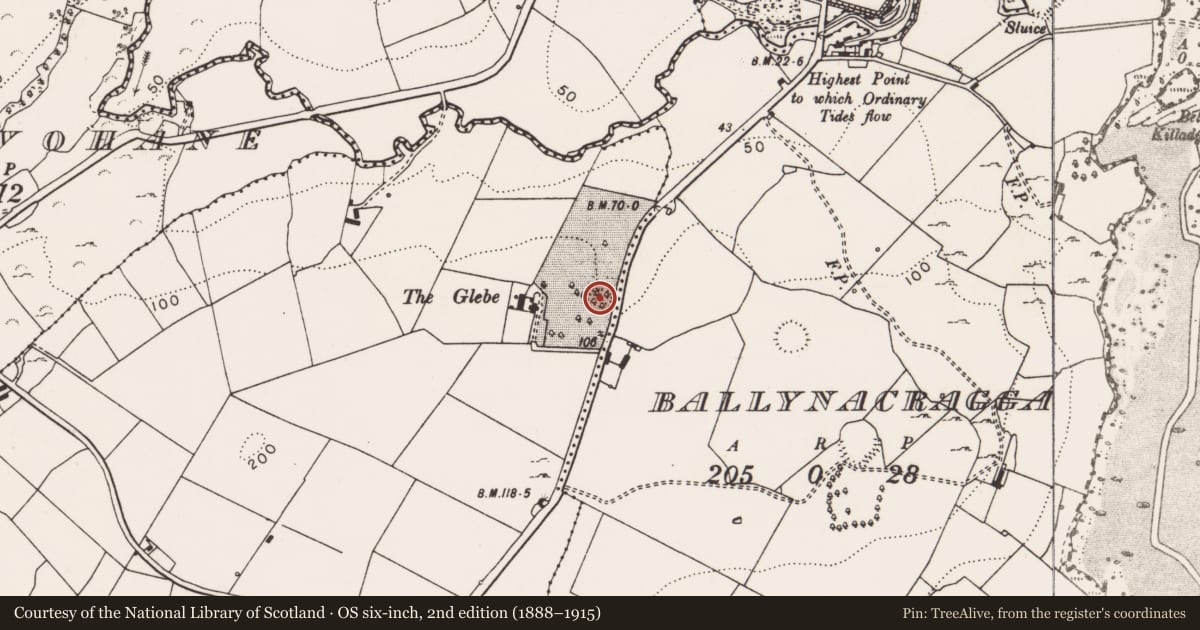 Ordnance Survey six-inch map, 2nd edition (1888–1915) covering the location of Earthwork, Cappanavarnoge, County Clare, with a pin at the register's coordinates
