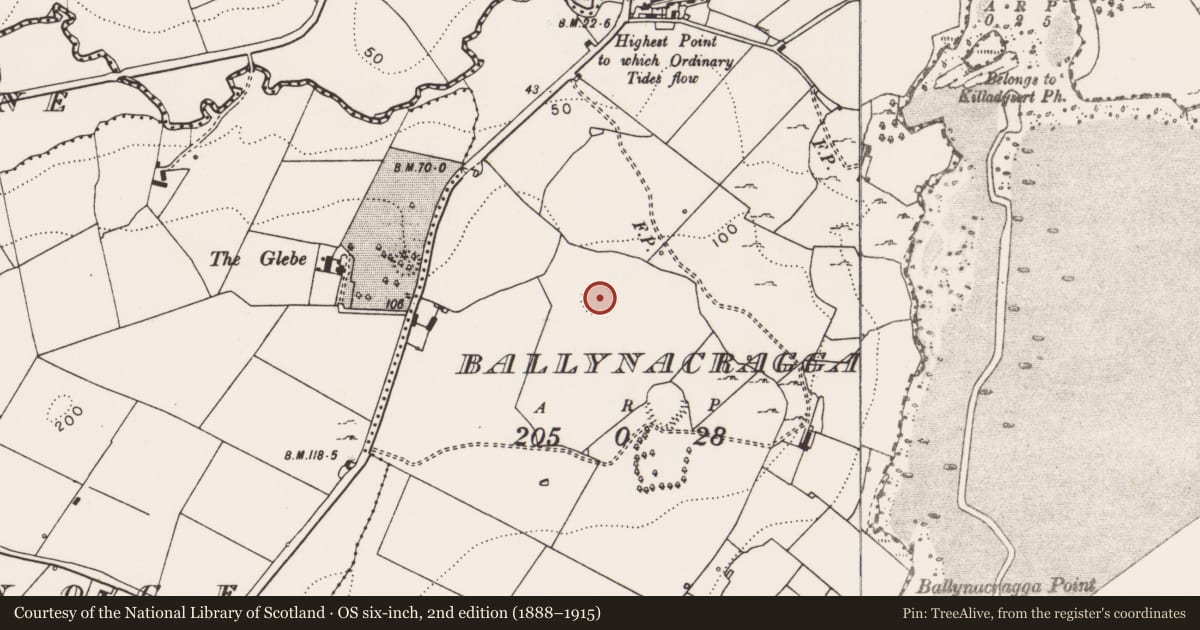 Ordnance Survey six-inch map, 2nd edition (1888–1915) covering the location of Ringfort - rath, Ballynacragga, County Clare, with a pin at the register's coordinates