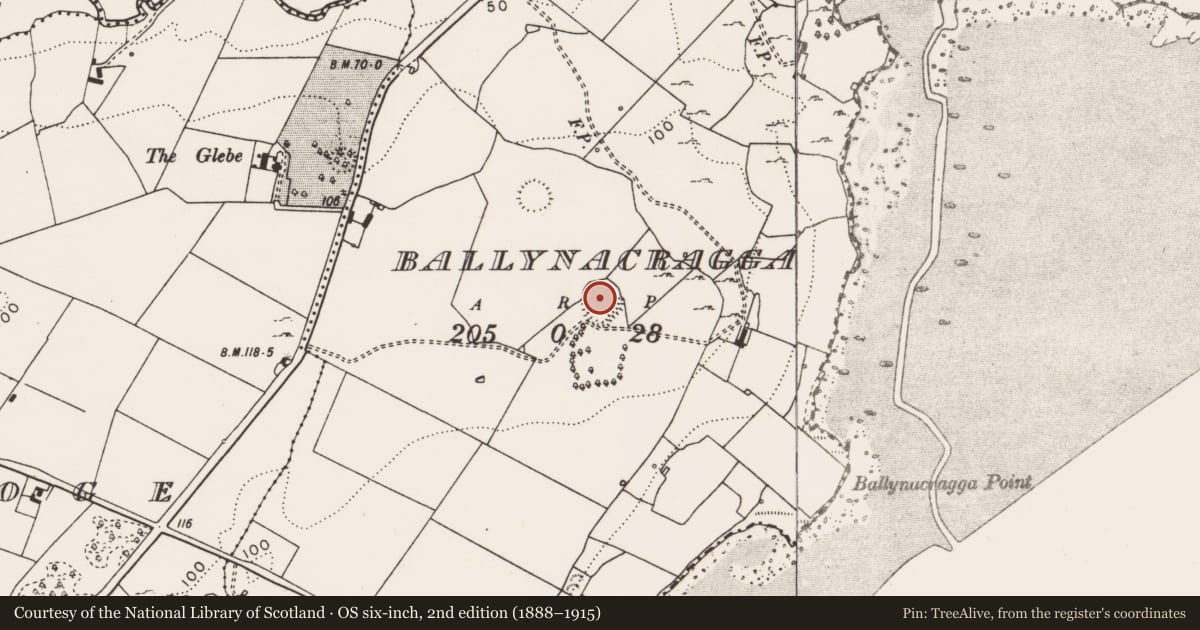 Ordnance Survey six-inch map, 2nd edition (1888–1915) covering the location of Ringfort - rath, Ballynacragga, County Clare, with a pin at the register's coordinates