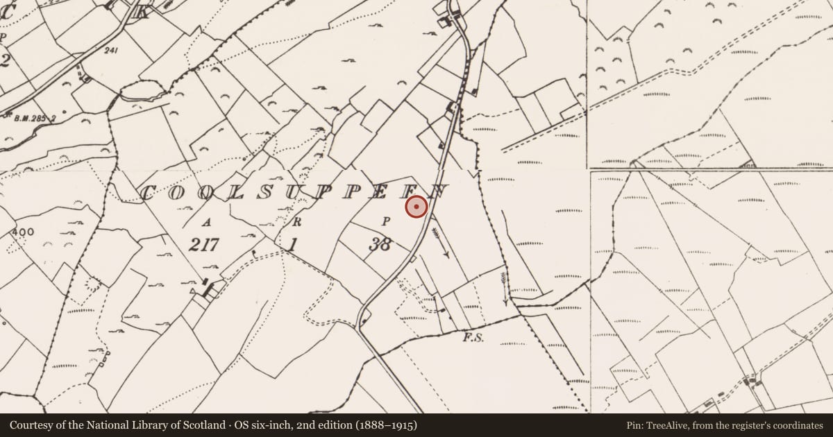 Ordnance Survey six-inch map, 2nd edition (1888–1915) covering the location of Children's burial ground, Coolsuppeen, County Clare, with a pin at the register's coordinates
