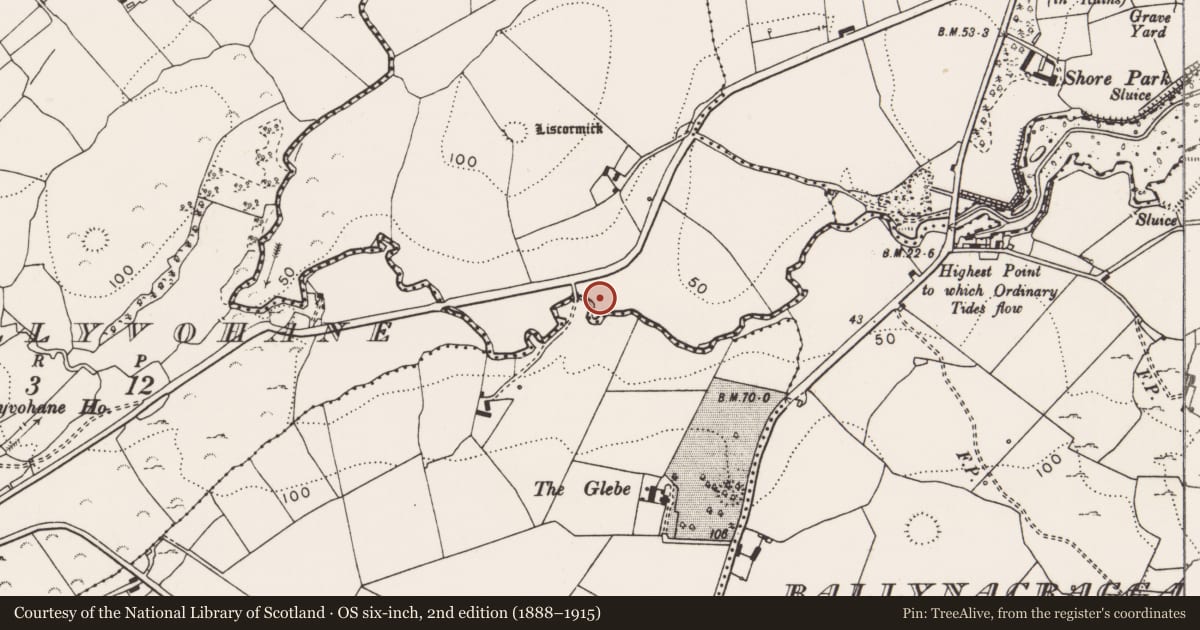 Ordnance Survey six-inch map, 2nd edition (1888–1915) covering the location of Fulacht fia, Liscormick, County Clare, with a pin at the register's coordinates