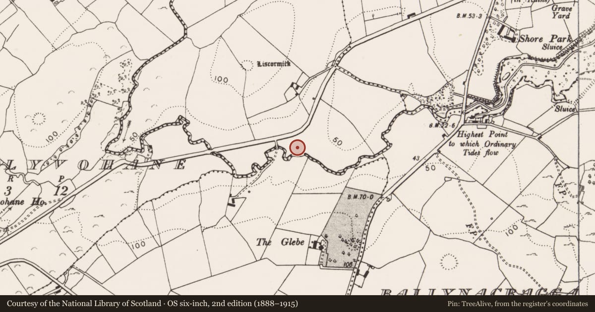Ordnance Survey six-inch map, 2nd edition (1888–1915) covering the location of Fulacht fia, Liscormick, County Clare, with a pin at the register's coordinates