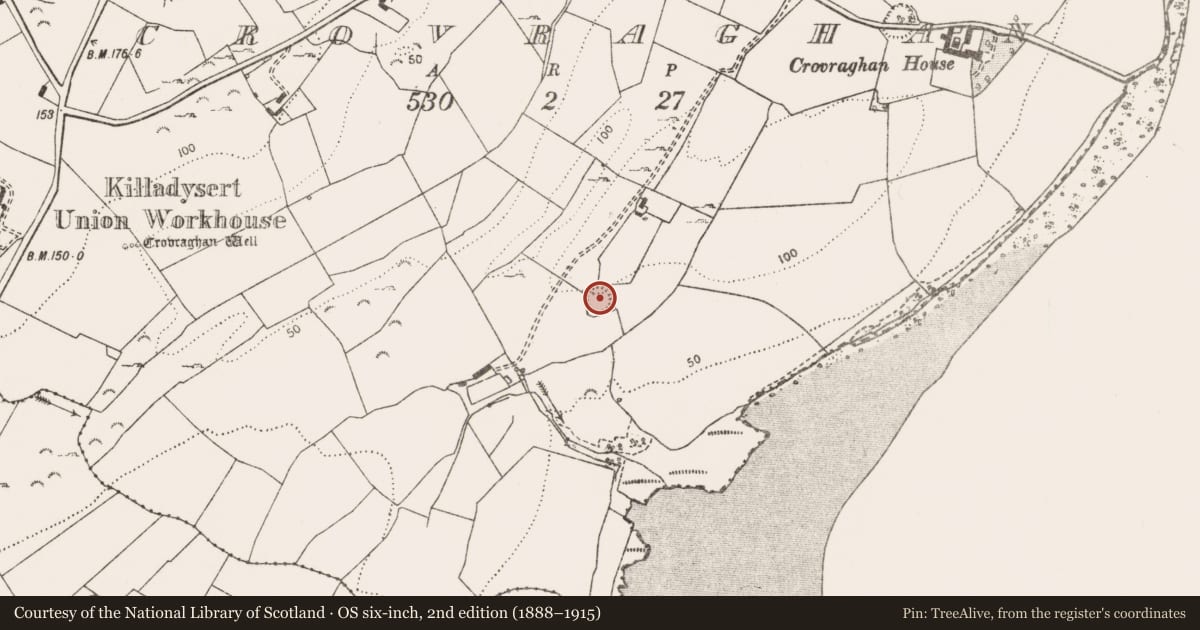Ordnance Survey six-inch map, 2nd edition (1888–1915) covering the location of Earthwork, Crovraghan, County Clare, with a pin at the register's coordinates