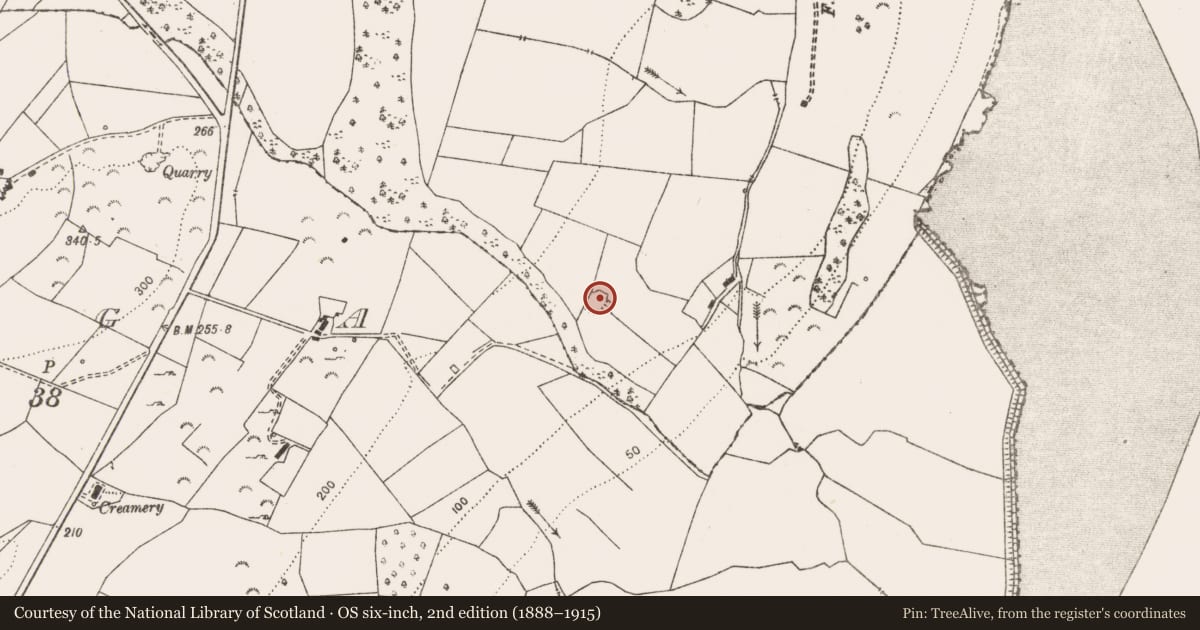 Ordnance Survey six-inch map, 2nd edition (1888–1915) covering the location of Enclosure, Ballynagard, County Clare, with a pin at the register's coordinates