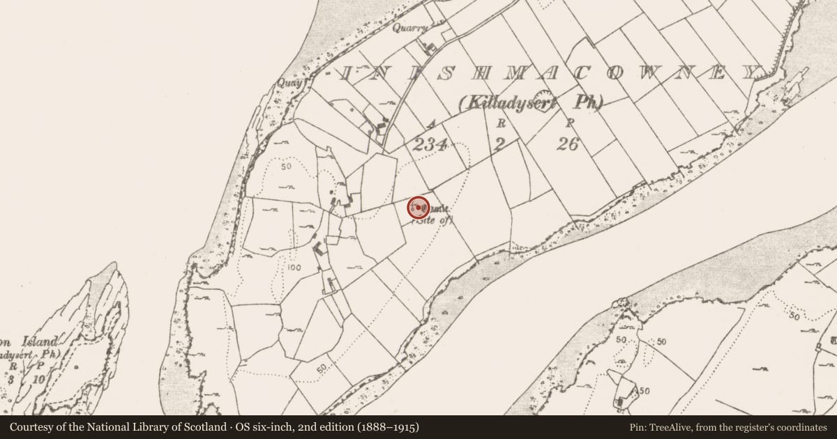 Ordnance Survey six-inch map, 2nd edition (1888–1915) covering the location of Castle - unclassified, Inishmacowney, County Clare, with a pin at the register's coordinates