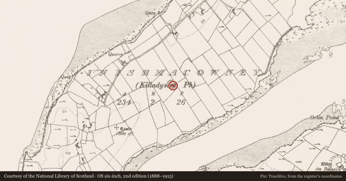 Ordnance Survey six-inch map, 2nd edition (1888–1915) covering the location of Ringfort - rath, Inishmacowney, County Clare, with a pin at the register's coordinates